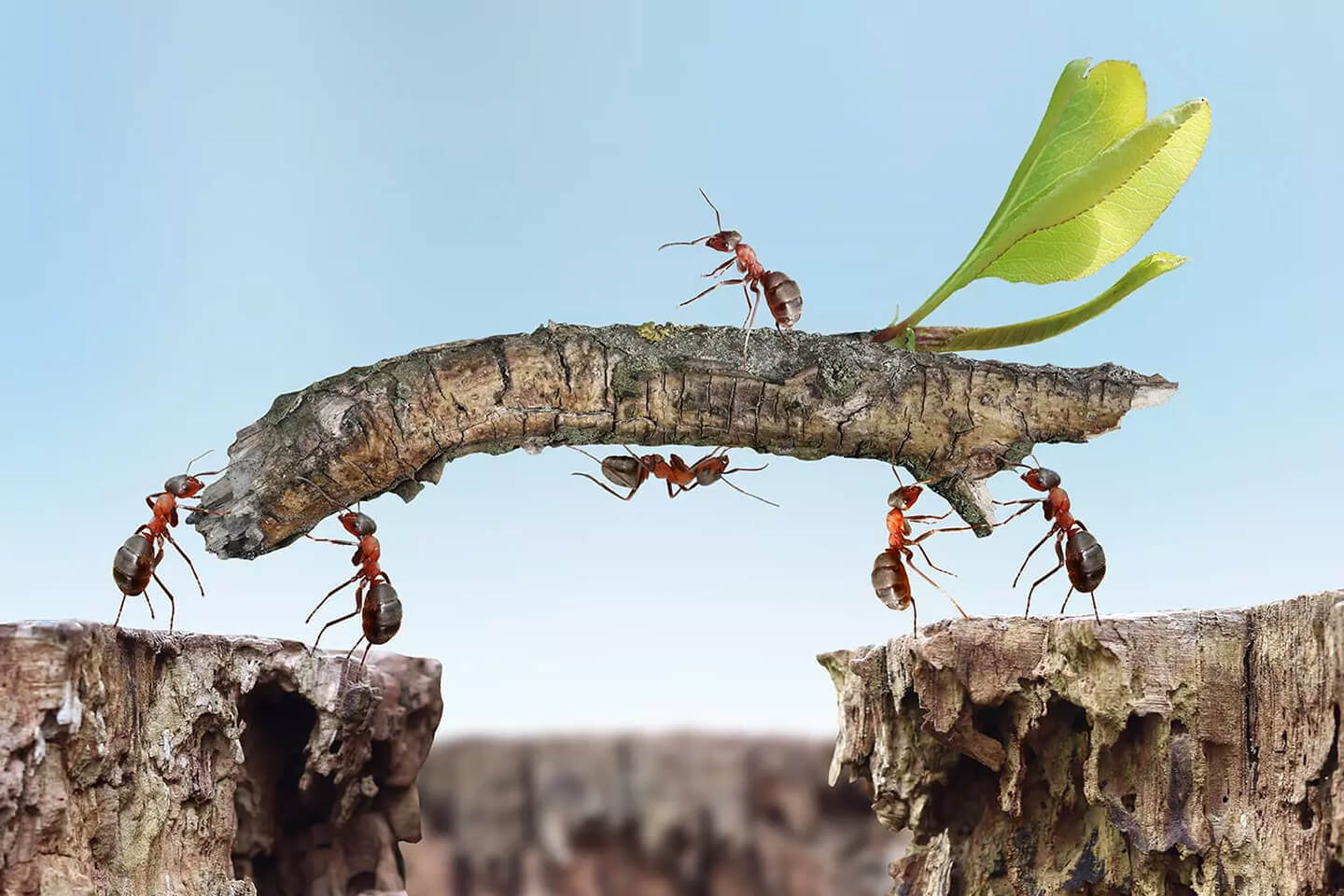 Start Thinking Differently About How to Manage Work