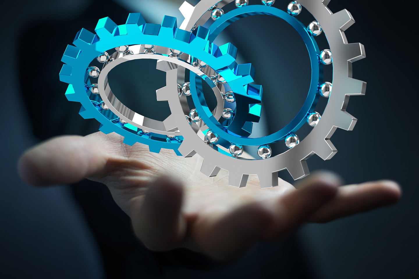 The Ten-Step Playbook for Organization Execution