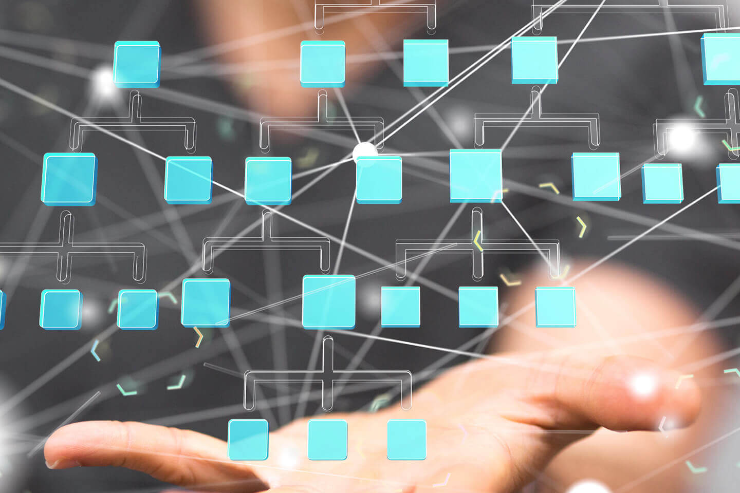 Organization Assessment That Works