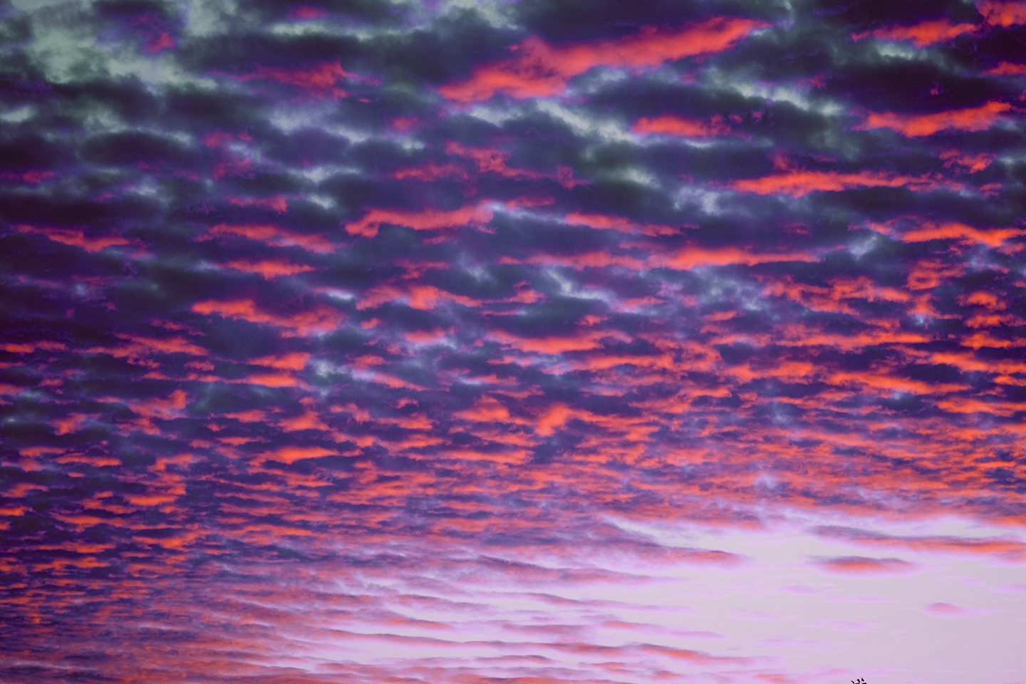 Unlocking Enterprise Potential Through Red Cloud Management